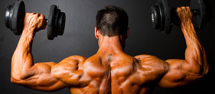 Как накачать мышцы плеч?