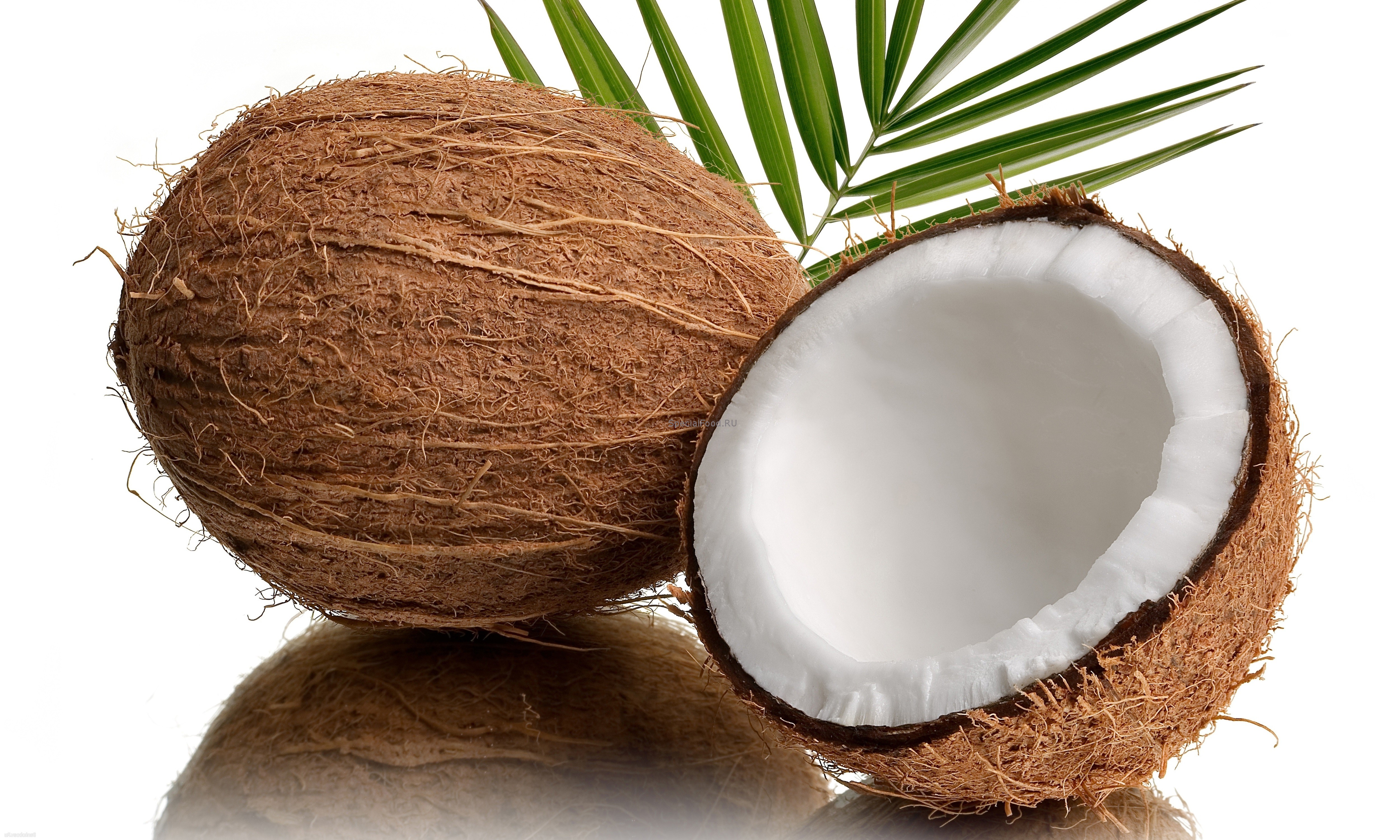 Чем полезен для организма кокос?