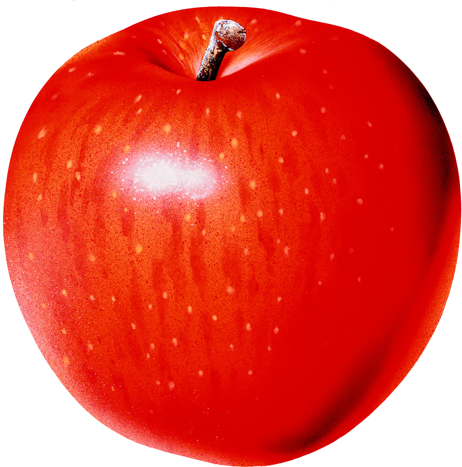 Какова калорийность одного красного яблока?